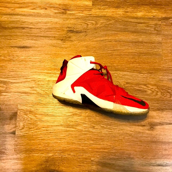 Lebrons for 300$